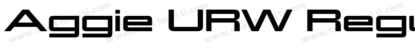 Aggie URW Regular字体转换